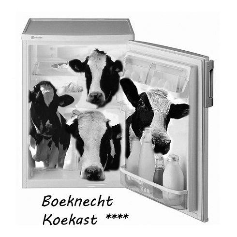 Boeknecht Koekast2