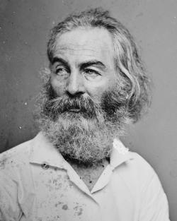 Walt Whitman The Wound Dresser Poem, The Wound Dresser